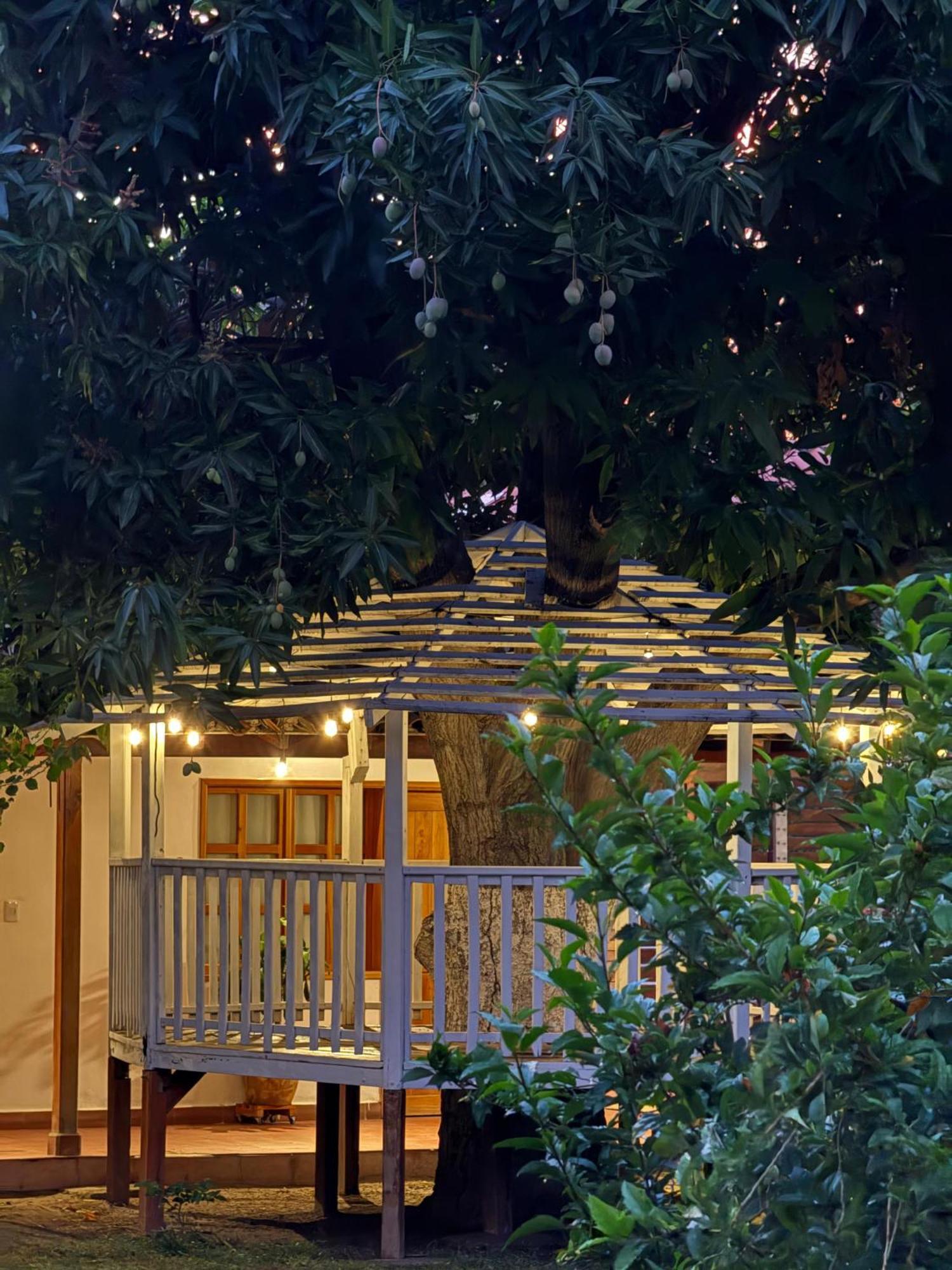 Hotel Jardin Boutique Rodadero Santa Marta  Zewnętrze zdjęcie