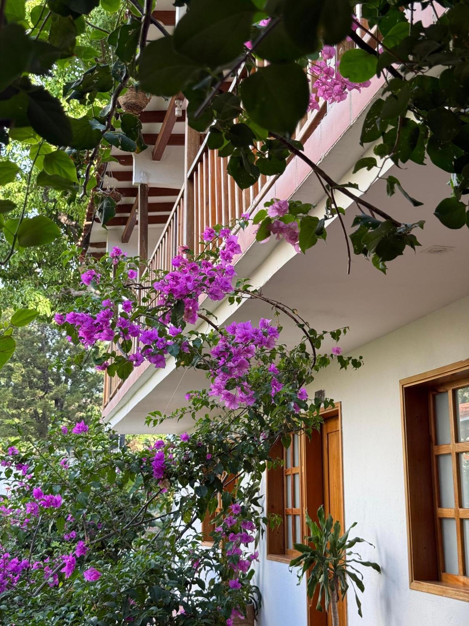 Hotel Jardin Boutique Rodadero Santa Marta  Zewnętrze zdjęcie